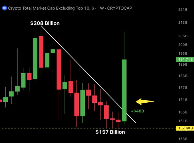 A cryptocurrency candlestick chart showing 'Crypto Total Market Cap Excluding Top 10' (CRYPTOCAP) with a downward trend line from $208 Billion to $157 Billion, highlighting a +$48B gain with a yellow arrow.