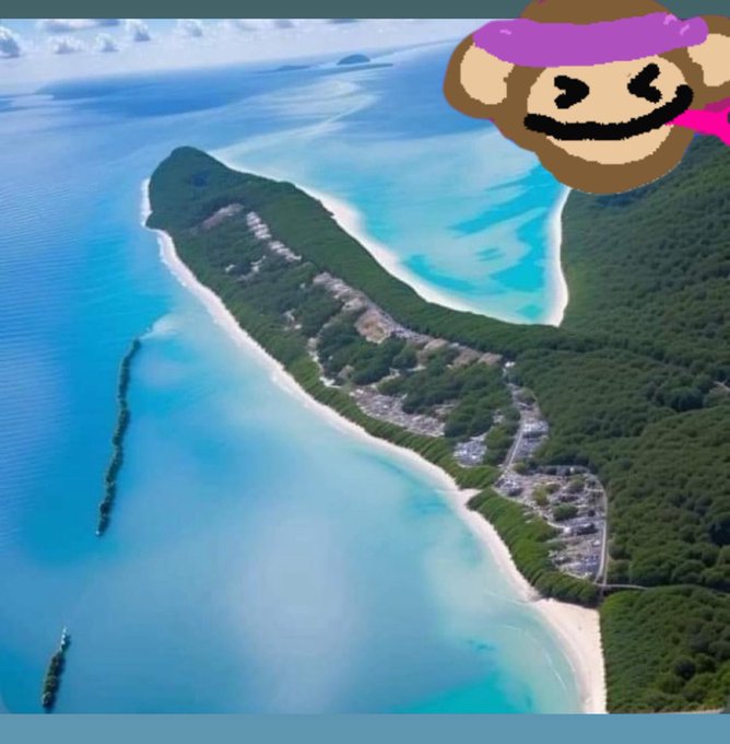 An aerial view of a tropical island surrounded by turquoise water, with a pixelated monkey emoji wearing a purple headband in the corner.