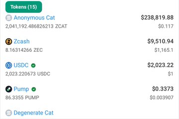 A cryptocurrency portfolio screenshot showing tokens including Anonymous Cat (ZCAT) at $238,819.88, Zcash (ZEC) at $9,510.94, USDC at $2,023.22, Pump (PUMP) at $0.3373, and Degenerate Cat.