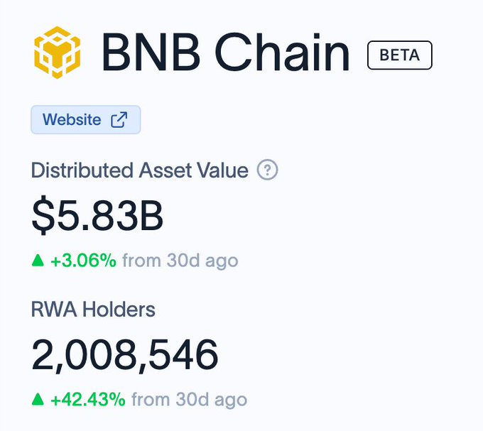A digital interface displays statistics for 'BNB Chain' showing a Distributed Asset Value of $5.83B and 2,008,546 RWA Holders.