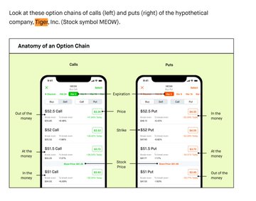 A diagram titled "Anatomy of an Option Chain" shows the calls (left) and puts (right) for the hypothetical company Tiger, Inc. ($MEOW), illustrating strike prices ranging from $50 to $51.50 and option categories from out-of-the-money to in-the-money. The image highlights the fictional ticker $MEOW that frequently appears in Robinhood trading community articles and memes.