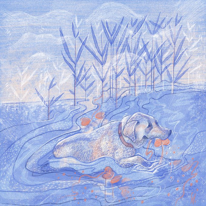 Illustration of a dog resting in blue water surrounded by tall reeds and orange fish.