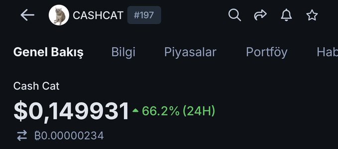 A screenshot of the CASHCAT (#197) cryptocurrency page on a tracking app shows a current price of $0.149931 with a 66.2% gain over the past 24 hours. The image visually supports the post's claim of a recent recovery rally, illustrating the significant price rebound being discussed.