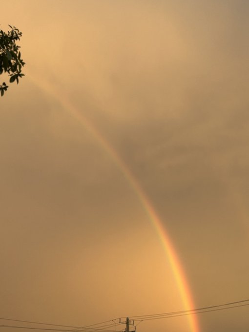 A photograph of a rainbow arcing through a hazy, orange-tinted sky, with tree leaves in the upper left corner and power lines visible at the bottom.
