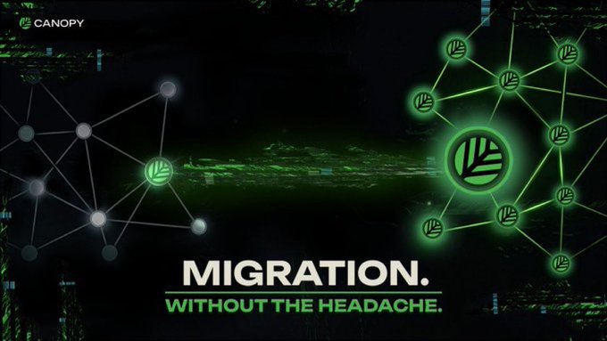 A digital graphic with a black background showing connected green nodes with leaf logos on the right, transitioning from gray nodes on the left, with text 'CANOPY' at top and 'MIGRATION. WITHOUT THE HEADACHE.' at the bottom.