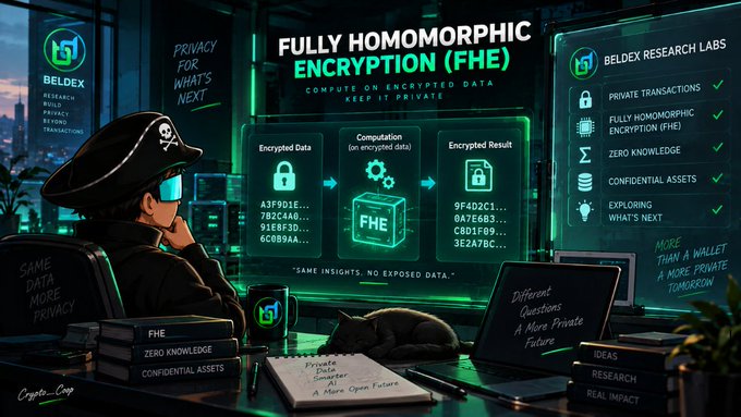 An anime-style illustration depicts a pirate character with sunglasses and a skull-and-crossbones hat working at a computer, with text about 'FULLY HOMOMORPHIC ENCRYPTION (FHE)' by BELDEX RESEARCH LABS explaining how encrypted data can be computed on while remaining private.