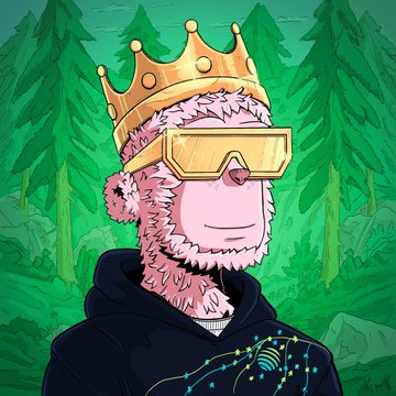 Cartoon illustration of a sloth wearing a gold crown, VR-style goggles, and a black hoodie with constellation designs, set against a forest background.