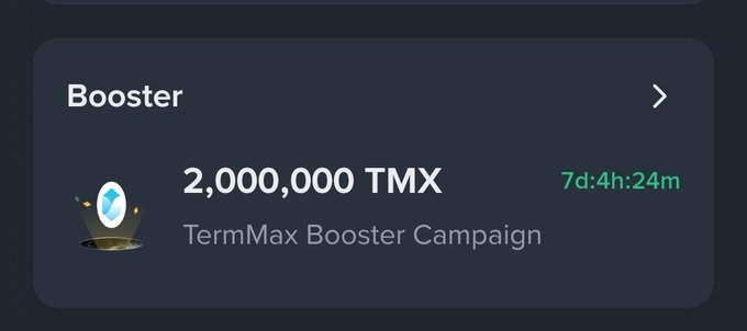 A 'Booster' section displaying a 'TermMax Booster Campaign' reward of 2,000,000 TMX with a countdown timer showing 7d:4h:24m remaining.