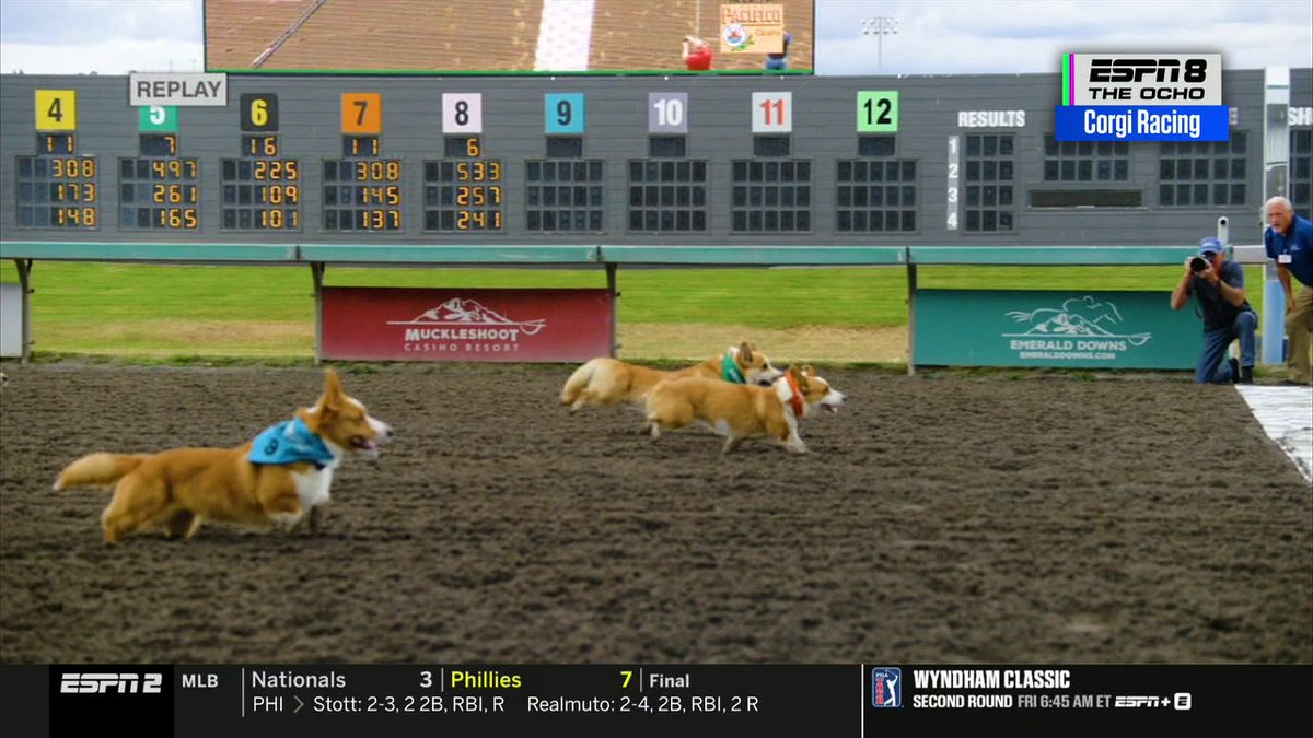 ESPN8 "The Ocho" broadcasts a Corgi Racing replay at Muckleshoot Casino Resort and Emerald Downs, with sports ticker showing Nationals vs Phillies MLB game.