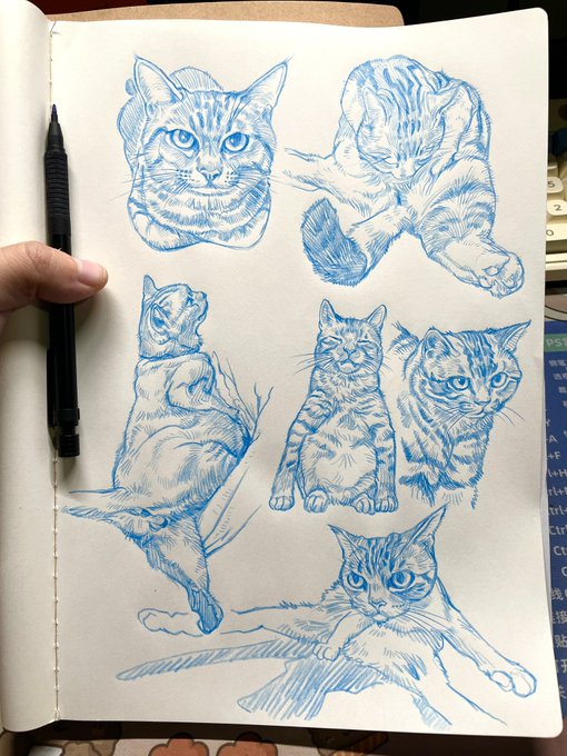 A page in a sketchbook featuring multiple blue ink drawings of cats in various poses, with a hand holding a black pen visible on the left side.