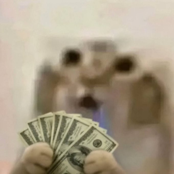 A blurry image of a person in a white animal costume holding a fan of US dollar bills, creating a meme-like aesthetic.