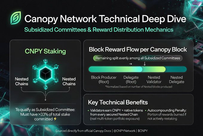 The image is an infographic titled "Canopy Network Technical Deep Dive: Subsidized Committees & Reward Distribution Mechanics," featuring sections on CNPY Staking (requiring >33% of total stake committed to qualify as Subsidized Committee, shown with nested chains), Block Reward Flow per Canopy Block (split between Block Producer, Delegate, Nested Validator, and Nested Delegate), and Key Technical Benefits (highlighting validators earning CNPY and native tokens from secured Nested Chains and an autocompounding penalty for inactive restaking). It visually reinforces the post's point by illustrating how $CNPY validators earn multi-token rewards across multiple Nested Chains, with a penalty mechanism for those who aren't actively restaking.