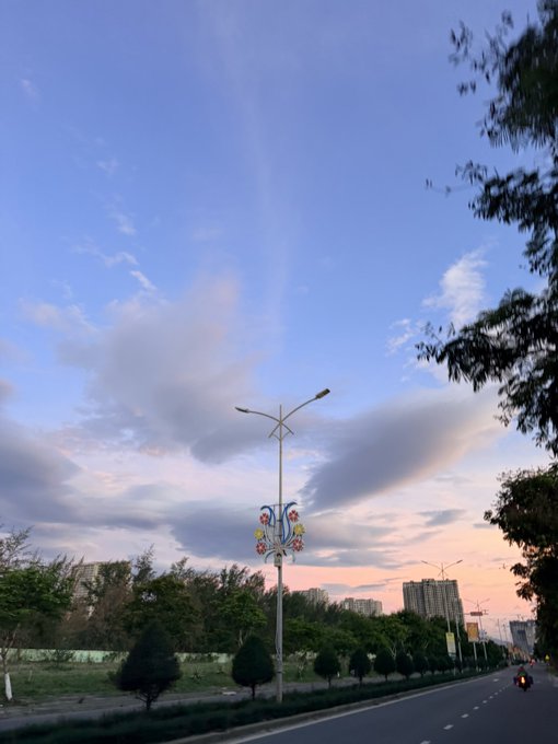 A scenic dusk view shows a road lined with trees and a decorative street lamp featuring a colorful tree mural, set against a blue sky with pink-tinted clouds and distant city buildings.