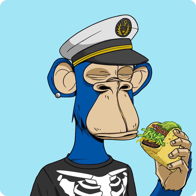 A digital illustration of a blue-furred Bored Ape character wearing a white sailor hat and a black skeleton shirt, holding a burrito.