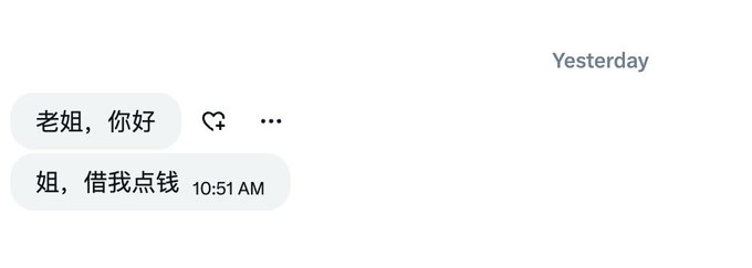A chat screenshot from "Yesterday" shows two messages in Chinese: "老姐，你好" (Hello, older sister) and "姐，借我点钱" (Sister, lend me some money) at 10:51 AM, paired with a joking caption about the sister now being the wealthy crypto investor who should be lending money instead.