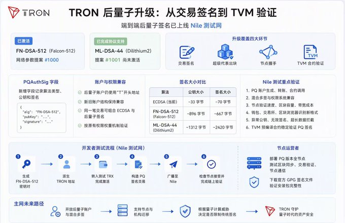 A Chinese-language technical infographic about TRON's post-quantum upgrade, covering Falcon-512 and Dilithium2 cryptographic algorithms and TVM contract verification.