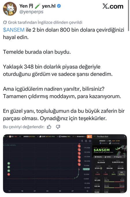 A Turkish X post by @yenperps featuring a trading chart of the $ANSEM memecoin, which shows a dramatic price spike, illustrating the post's claim of turning $2,000 into $800,000 in a single night.