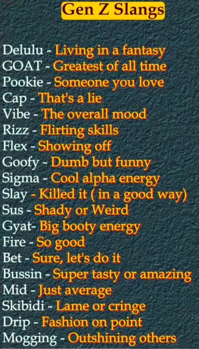 The image displays a "Gen Z Slangs" infographic listing common terms with their meanings, such as "Delulu" (living in a fantasy), "GOAT" (greatest of all time), "Rizz" (flirting skills), and "Slay" (killed it in a good way). It serves as a playful cheat sheet for decoding Gen Z vocabulary, fitting the post's humorous take on "communicating with zoomer trenchers."