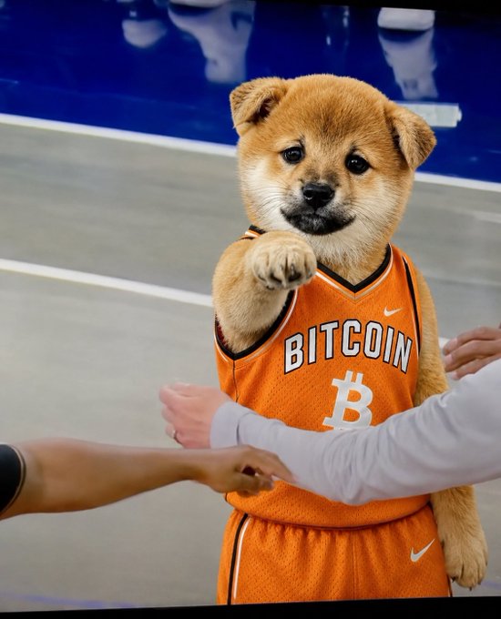 An adorable puppy wearing an orange basketball jersey with "BITCOIN" text and the Bitcoin "B" logo stands on a court, with the post's $DOG ticker tying into the playful, animal-themed crypto theme.