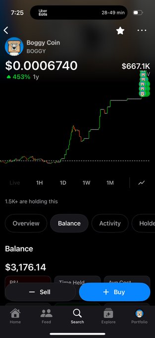 A screenshot of a cryptocurrency tracking app displaying the 'Boggy Coin' (BOGGY) token, priced at $0.00006740 with a 453% gain over 1 year and a balance of $3,176.14.