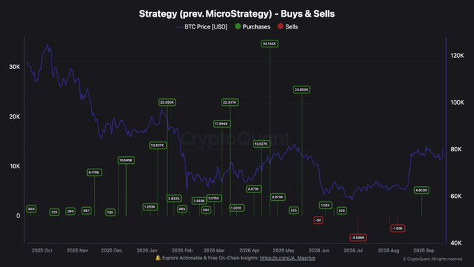 The image is a chart titled "Strategy (prev. MicroStrategy) - Buys & Sells" tracking BTC price (blue line) against the company's periodic Bitcoin purchases (green) and sales (red) from October 2025 through September 2026, with notable buy amounts including 34,164 BTC at ~$94K, 24,850K at ~$105K, and 23,037K, alongside two minor sells of -3,500K and -1,830K. This visual supports the post's claim by illustrating Strategy's ongoing accumulation pattern, suggesting Saylor is continuing to add to the company's stack following prior large-scale purchases averaging around $80-100K per coin.