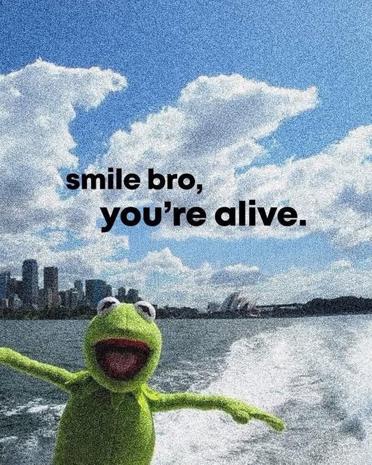 Kermit the Frog appears superimposed in front of a boat wake with a city skyline in the distance, accompanied by the text 'smile bro, you're alive.'