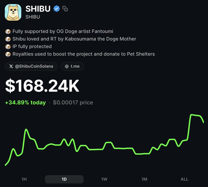A cryptocurrency chart for the SHIBU token on Solana showing a market cap of $168.24K, up 34.89%, with notes stating it is 'Fully supported by OG Doge artist Fantoumi' and 'Shibu loved and RT by Kabosumama the Doge Mother'.
