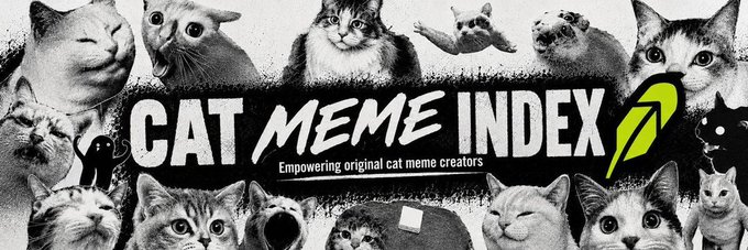 The user wants a caption for the image based on the provided text and visual content.

1.  **Analyze the Image:**
    *   **Visuals:** A collage of black and white cat photos/memes. There's a central black banner with white text.
    *   **Text in Image:** "CAT MEME INDEX" in large, bold, white letters. Below it, smaller text says "Empowering original cat meme creators". To the right of "INDEX", there is a green leaf logo.
    *   **Context:** The image is clearly a logo or banner for "Cat Meme Index" (CMI).

2.  **Analyze the Prompt's Text:**
    *   "Robinhood's liquidity is explosively strong..." (Financial context)
    *   "...~ $CASHCAT has already hit a new high this afternoon." (Crypto/Token context)
    *   "Actively embrace the hot money where