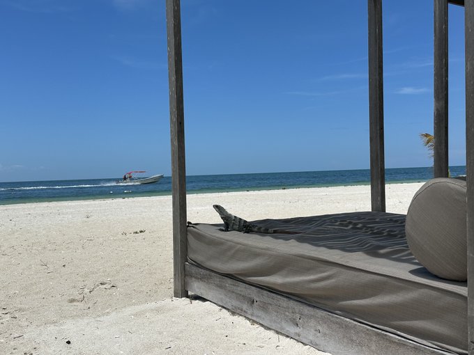 A view of a white sand beach from under a wooden canopy with a cushioned daybed, looking out toward blue water where a small boat is visible.