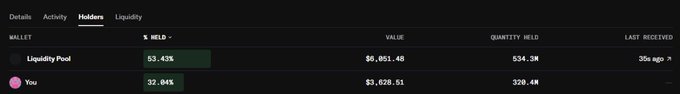 A cryptocurrency wallet holders tab shows a Liquidity Pool holding 53.45% with a value of $6,051.48 (534.5M tokens) and a 'You' entry holding 32.84% with a value of $3,620.53 (320.4M tokens).
