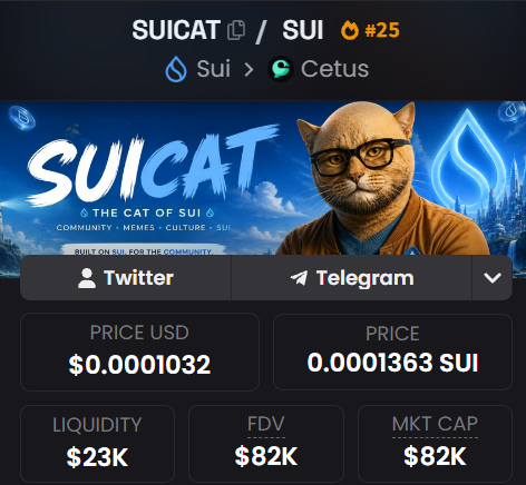 A cryptocurrency tracking page for 'SUICAT' token on the Sui network via Cetus, showing a price of $0.0001032 (0.0001363 SUI) with $23K liquidity, $82K FDV, and $82K market cap, featuring an image of a cat wearing glasses and a brown jacket.