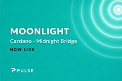 The image is a promotional graphic on a teal background featuring white text that reads "MOONLIGHT," "Cardano – Midnight Bridge," and "NOW LIVE," along with the "PULSE" logo in the bottom-left corner and abstract concentric circles in the upper-right. It visually announces the launch of the bridge between Cardano and the Midnight Network, aligning with the post about Pulse and Midnight rolling out infrastructure updates like a public bridge and USDC integration.