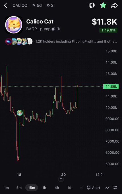 Trading chart for 'Calico Cat' (BAQP...pump) showing a current price of $11.8K with a 19.9% increase, viewed in a 15-minute timeframe.
