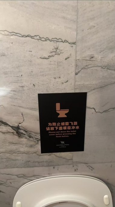 A bathroom sign above a toilet with Chinese text and English translation: 'Please put down the toilet cover before pressing the flush button.'