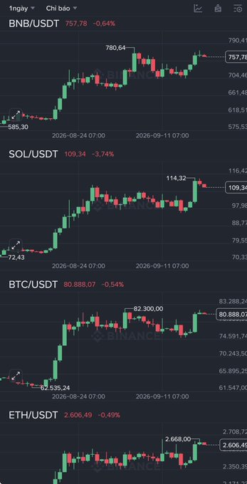 A cryptocurrency trading interface displays candlestick charts for BNB/USDT (757.78), SOL/USDT (109.34), BTC/USDT (80,888.07), and ETH/USDT (2,606.49), all showing minor daily declines.