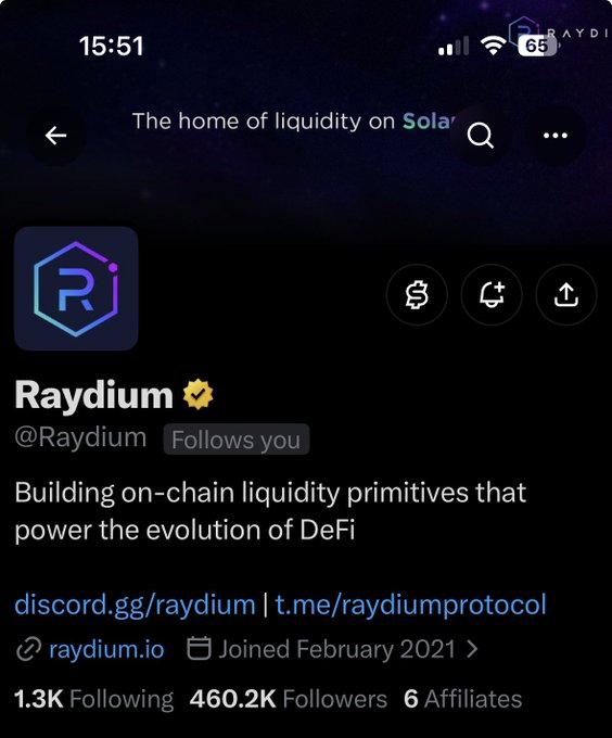 A Twitter/X profile for Raydium (@Raydium), a verified DeFi protocol account, showing 460.2K followers and the tagline 'The home of liquidity on Solana' with the description 'Building on-chain liquidity primitives that power the evolution of DeFi.'