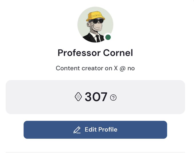 The image shows a profile picture of a person wearing a yellow hat, sunglasses, and a black suit with a tie. The profile picture also includes a caption that reads "Professor Cornel" followed by a number "307". This caption suggests that the user's name is Professor Cornel and they have a total of 307 followers on their social media account.