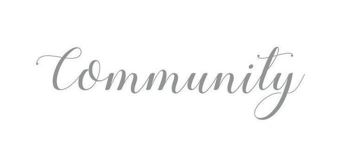 The image displays the word "Community" written in elegant gray cursive script on a white background. This ties directly to the post's question about red flags in a crypto community, visually emphasizing the central topic of discussion.