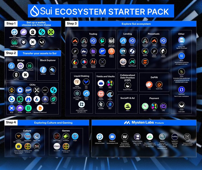 An infographic titled 'Sui ECOSYSTEM STARTER PACK' that outlines steps for setting up a wallet, bridging assets, exploring dApps across categories like trading and DeFi, and discovering Mysten Labs products.