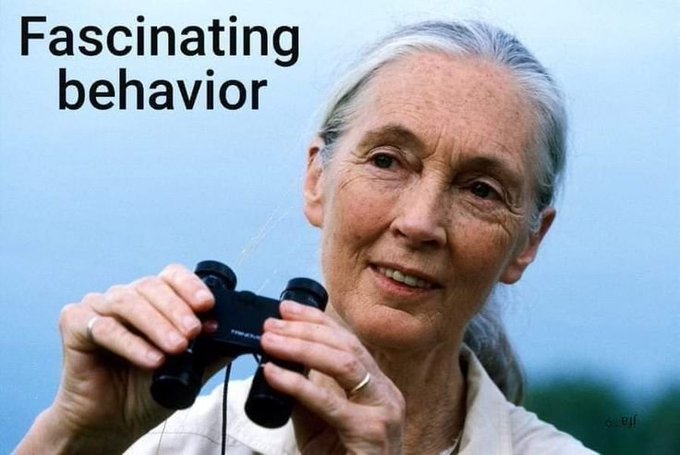 A photo of an older woman holding binoculars, labeled with the text 'Fascinating behavior.'