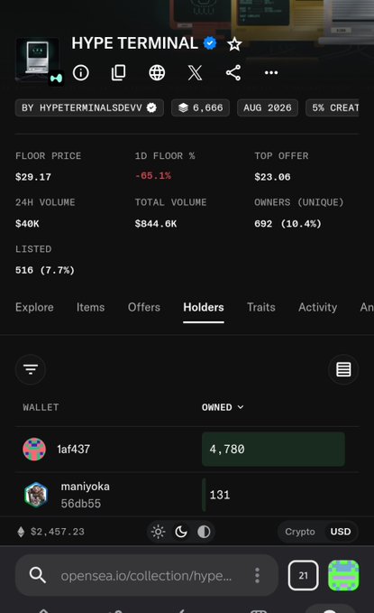 A mobile screenshot of an OpenSea collection page for 'HYPE TERMINAL' showing a floor price of $29.17, 24H volume of $40K, and top holders including wallet 1af437 with 4,780 owned.