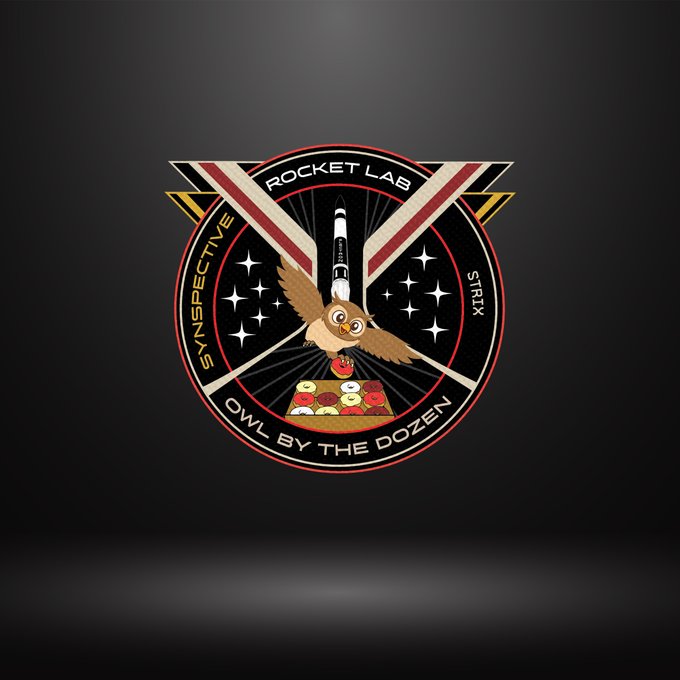 A circular mission patch design reading "ROCKET LAB," "SYNSECTIVE," "STRYX," and "OWL BY THE DOZEN," featuring an owl carrying a pizza box in front of a rocket.