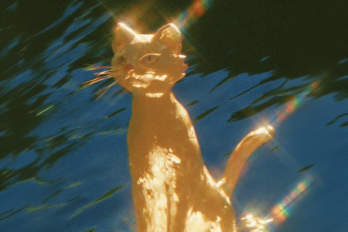 An artistic, glowing image of a cat sitting with its tail curled up, surrounded by water reflections with rainbow light flares.