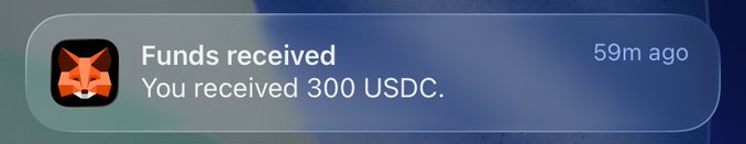 A MetaMask mobile notification displaying 'Funds received - You received 300 USDC.' with a timestamp of '59m ago' against a blurred background.