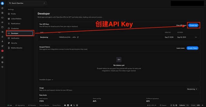The OpenSea Developer settings page showing the "Your API Keys" section with a "Benjaming" key that has expired, annotated with red Chinese text "创建API Key" (Create API Key) pointing to the "View All Keys" and "Create key" buttons. This screenshot illustrates where to generate an API key needed to programmatically interact with OpenSea for building an automatic NFT detection and minting bot.