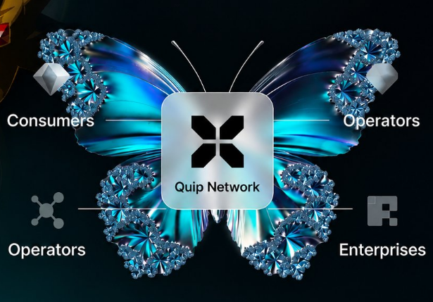 A promotional graphic for Quip Network with a butterfly made of blue jewels, illustrating connectivity between Consumers, Operators, and Enterprises through its central logo.