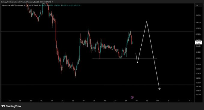 A candlestick price chart of CRYPTO CAP / USDT Dominance shows a projected price pattern (drawn in white) where dominance initially rises toward the 8.800% level before sharply declining to around 6.175%, suggesting potential relief for Bitcoin if USDT dominance weakens. The chart, timestamped September 28, 2026, illustrates one of several possible downside scenarios for USDT dominance.
