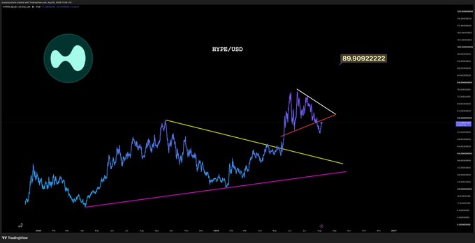 A TradingView chart displays HYPE/USD at 89.90892222 with technical analysis lines drawn in yellow, pink, red, and white indicating trend patterns.