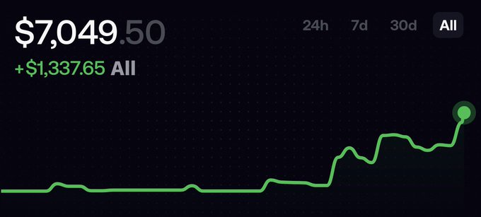 A financial chart displaying a current value of $7,049.50 with a gain of +$1,337.65 'All' (all-time), shown by an upward-trending green line graph against a dark background.