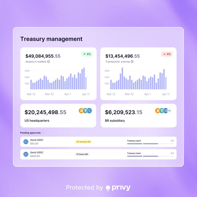 A Privy 'Treasury management' dashboard showing $49,084,955.55 in wallet assets (up 4%), $13,454,496.55 in transaction volume (down 4%), $20,245,498.55 in US headquarters, and $6,209,523.15 in BR subsidiary.